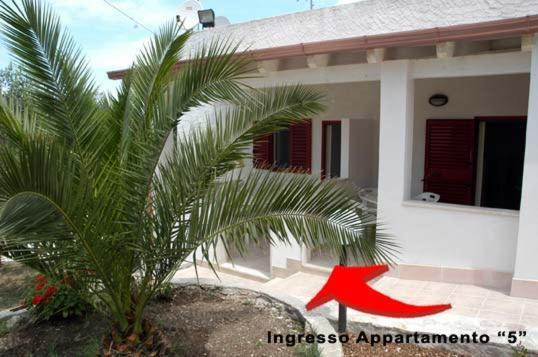 Villa Celeste Apartments Vieste - Exterior foto